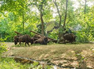 Zoo Basel: Jubiläum setzt Akzente im Geschäftsjahr 2024